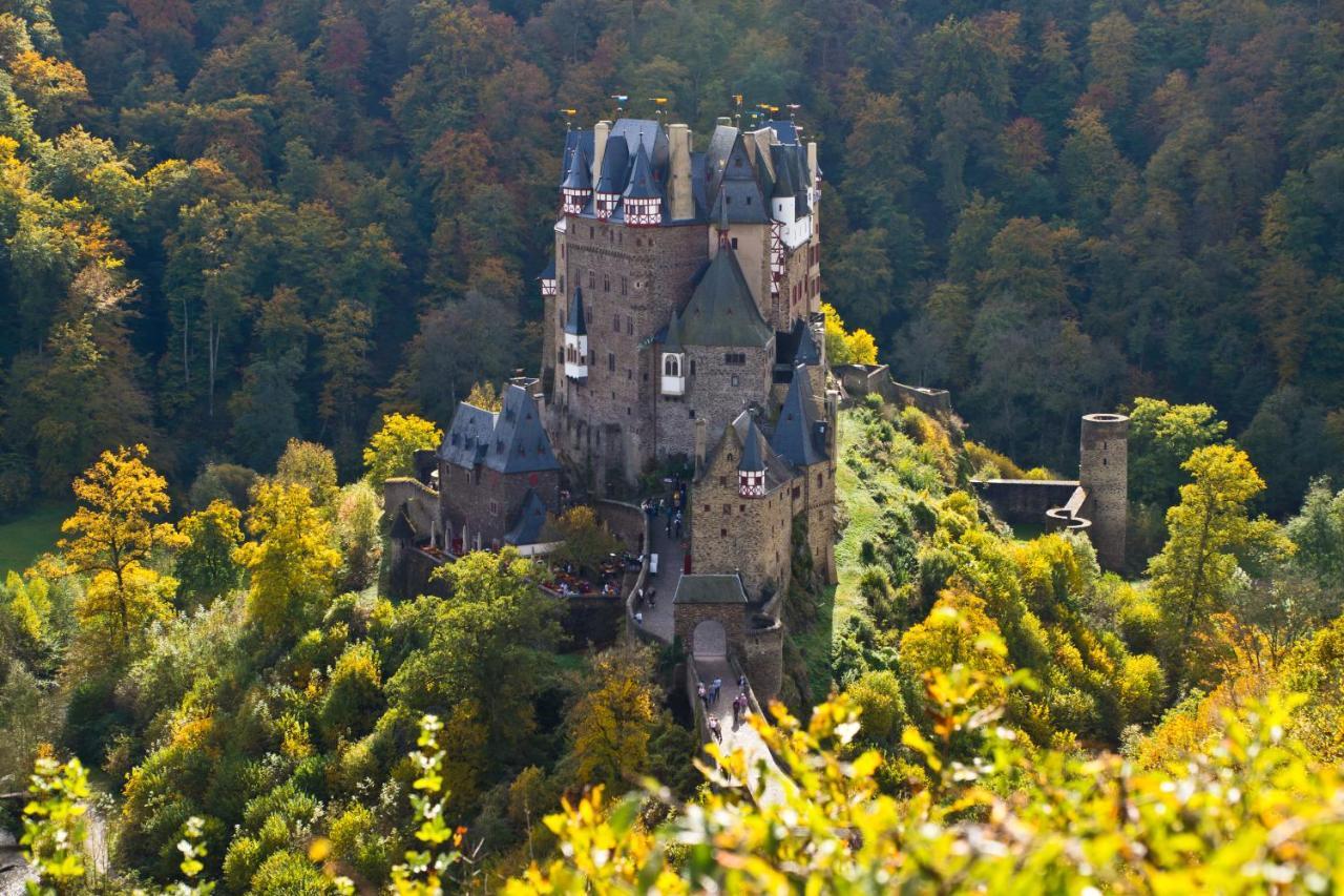 Tiny House Natur-Traum Zur Burg Eltz Wierschem Zewnętrze zdjęcie
