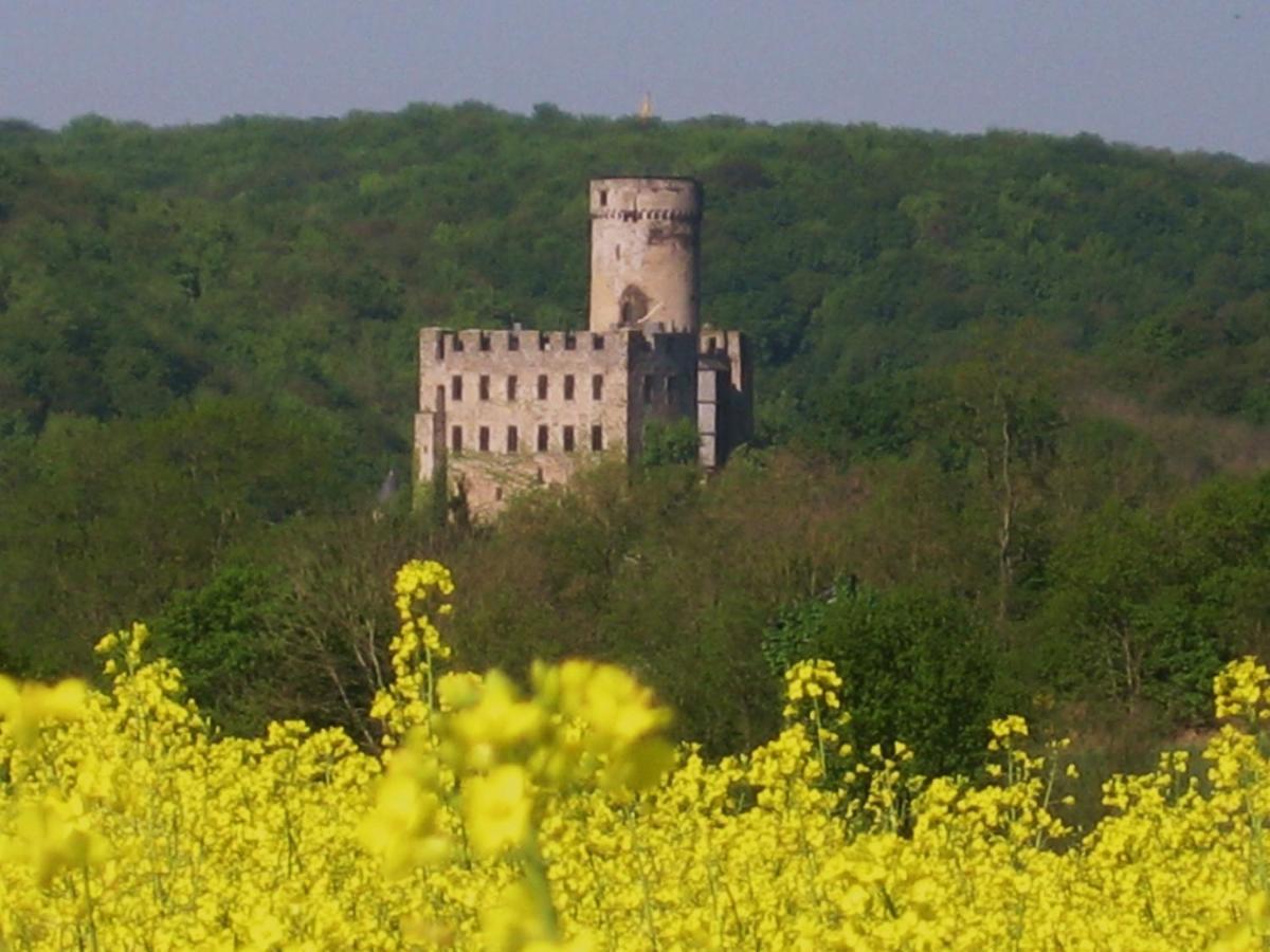 Tiny House Natur-Traum Zur Burg Eltz Wierschem Zewnętrze zdjęcie